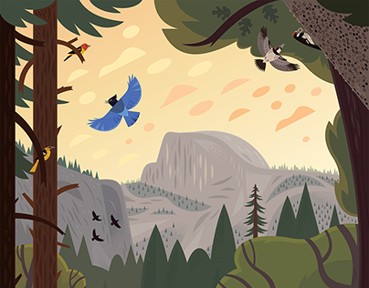 Project thumbnail - Yosemite Conservancy