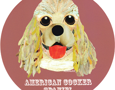 004 | American Cocker Spaniel (Fawn)
