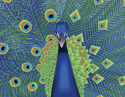 Geometric Vs. Organic Peacock