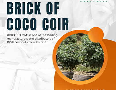 Brick of Coco Coir