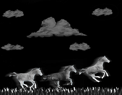 Myth of the Wild Horses