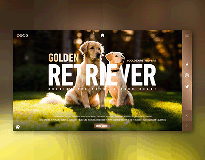 Golden Retriever UI Landing Page