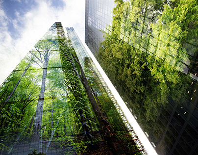 Sustainability and Green Building USA Real Estate Field