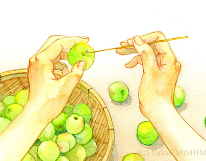 Making process of Japanese plum wine