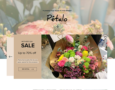 Petalo - Artistic Floral Arrangements