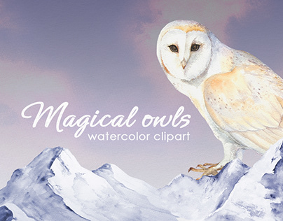 Magical owls
