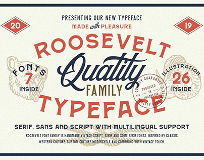 Roosevelt Font Family (Font Bundle)