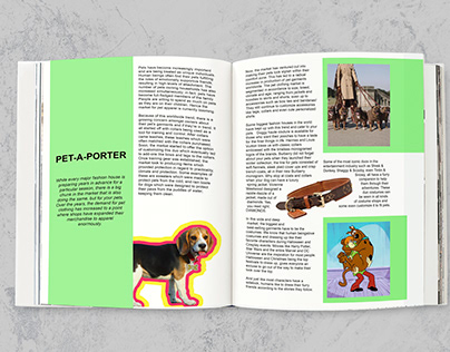 PET-A-Porter (feature writing)
