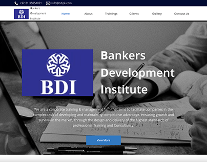 BDI PK Website Design & Development