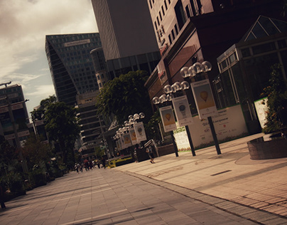 Orchard Road, Landscape Photography