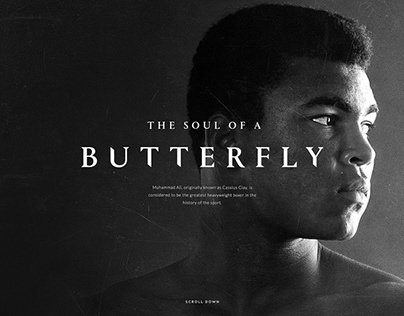 THE SOUL OF A BUTTERFLY