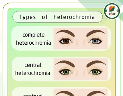 #9th_project "heterochromia" poster for LSDTEAM