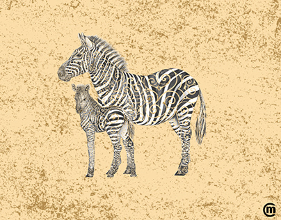 Swirly Zebra Family
