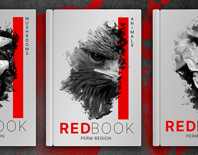 Red Book - Perm Region