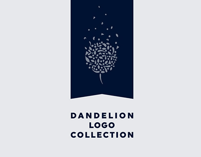 Dandelion Logo Concepts