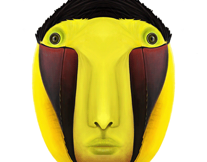Bird Series - Toucan Heads