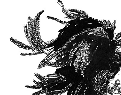 Illustration | PJ Harvey | let england shake