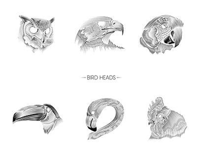 BIRD HEADS