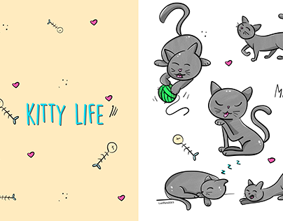 kitty life