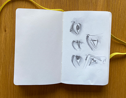 Cuaderno de Sketches