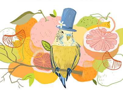 Illustrations for buckwheat tea, packaging