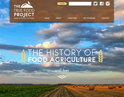 The True Food Project