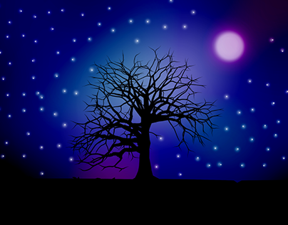 Night sky illustration