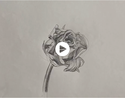 Metamorphosis Rose Animation