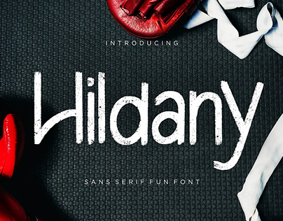 Hildany Sans Serif Font