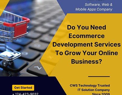 Online Business: Expert E-commerce Development