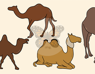Cute Camel In Different Poses Illustration