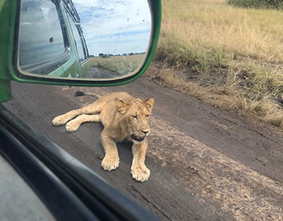 15 day uganda safaris