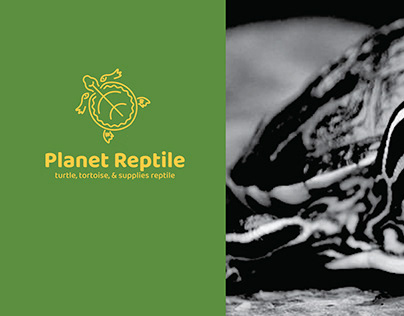 Icon Design Planet Reptil
