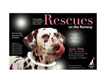 Dog Star Rescue Dog Fashion Show