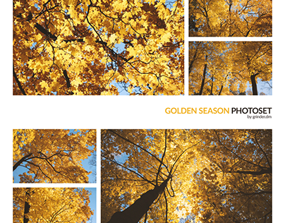 Photoset: Golden Season