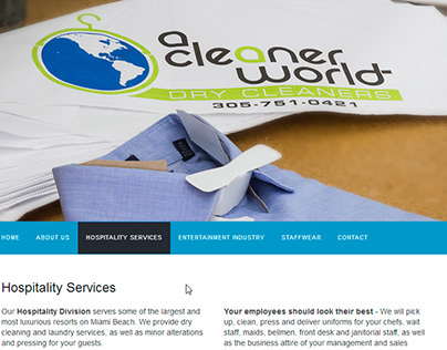 A Cleaner World Website