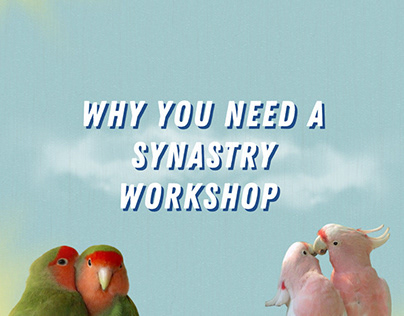 Synastry Workshop