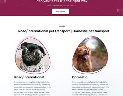 Animal Export Import WebSite Design