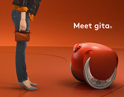Meet the gita robot