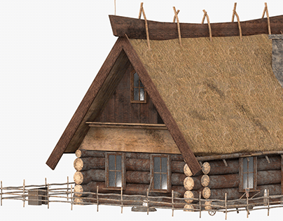 Scandinavian Village House