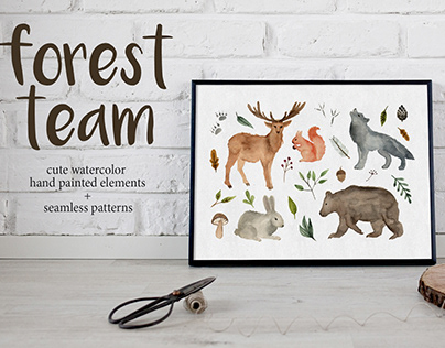 Forest team. Watercolor set of illustrations & patterns