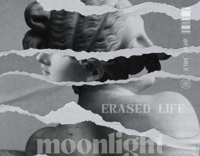 Erased Life