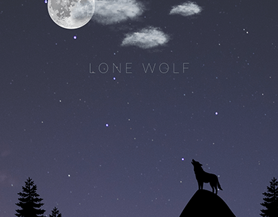 Wolf Howling At Night