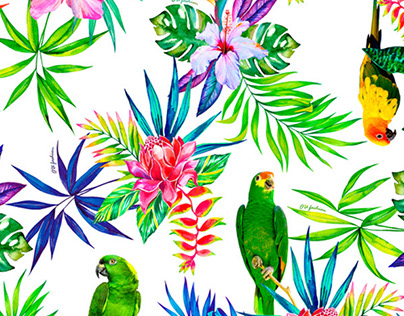 tropical parrots - pattern/print