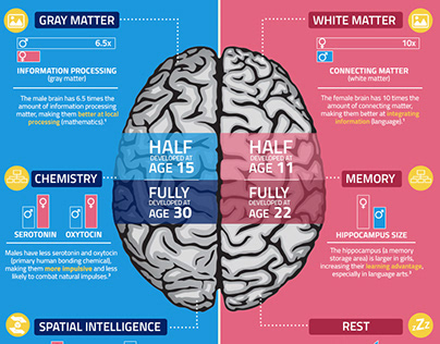 Science of the Male Brain [Infographic]