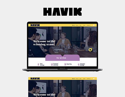 Havik - website design