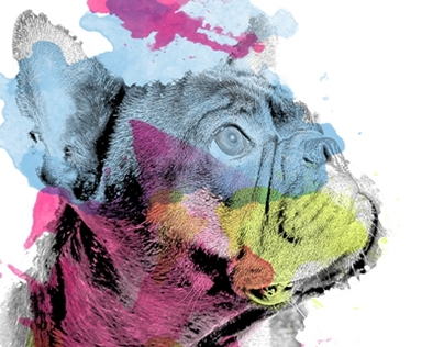 Abstract Dogs Illustrations