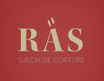 Hair Salon website concept
