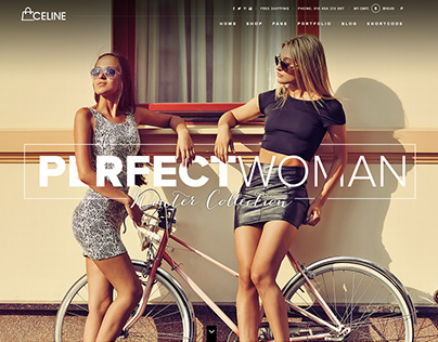 Celine - Responsive Shopping WordPress Theme