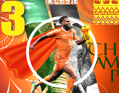 cote d'ivoire the african champions